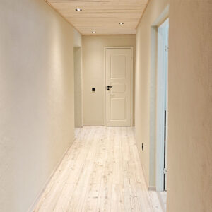 Rausk & Kodu Projektid Renoveerimistööd